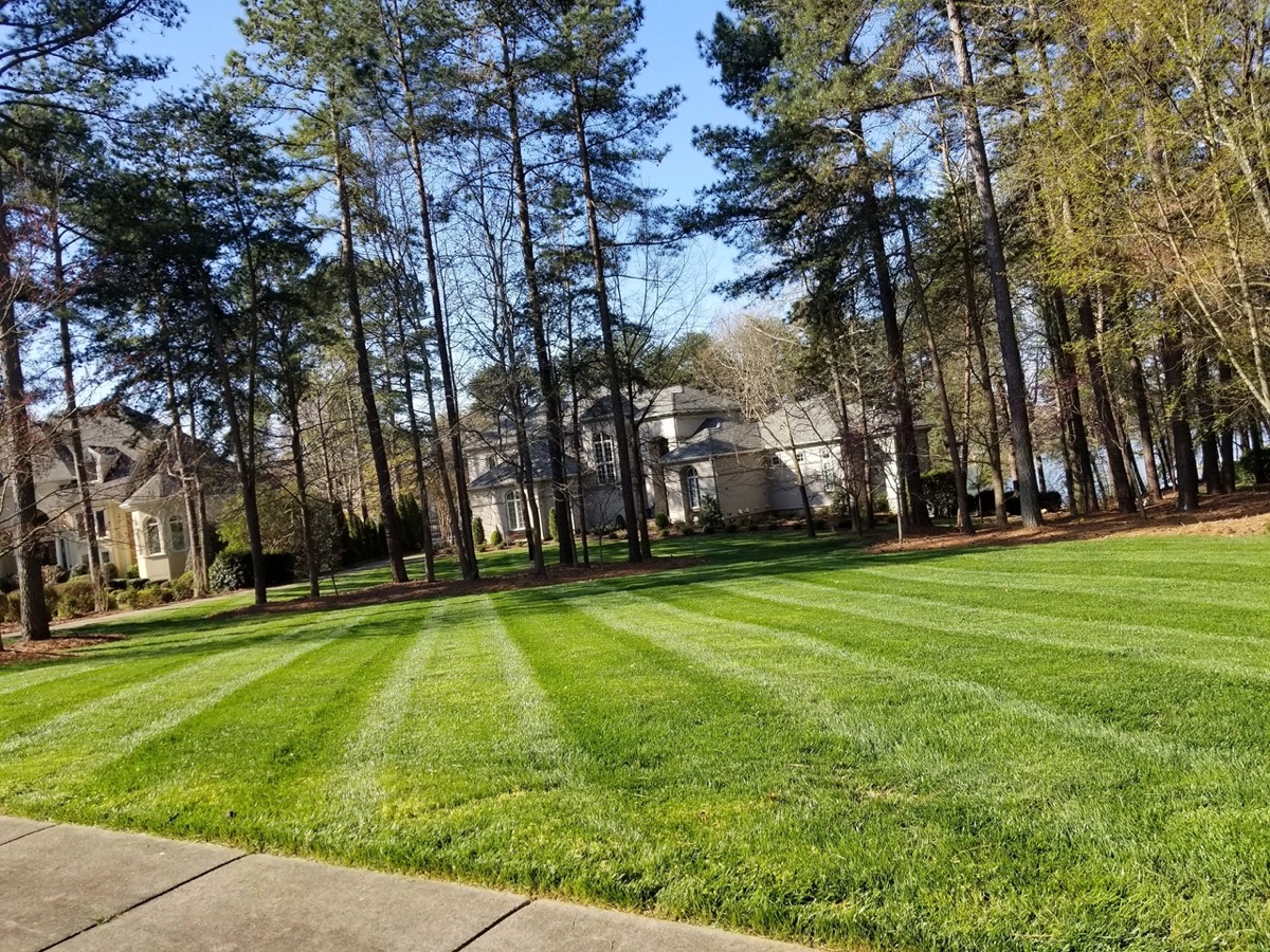 Fresh sod installation